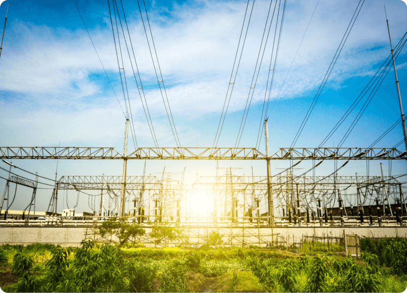 Environmental Stewardship